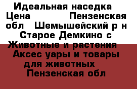 Идеальная наседка › Цена ­ 4 500 - Пензенская обл., Шемышейский р-н, Старое Демкино с. Животные и растения » Аксесcуары и товары для животных   . Пензенская обл.